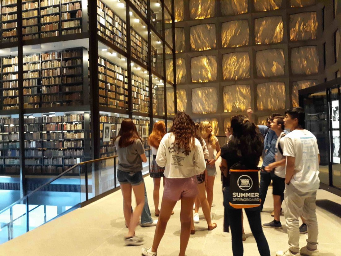 Yale Summer Program for High School Students Summer Springboard