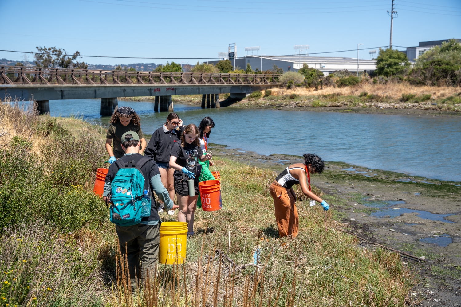 Ecology and Environmental Science Course 1