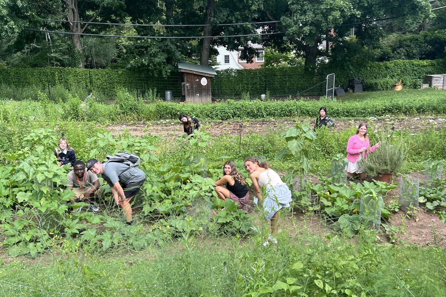 Ecology and Environmental Science Course 2