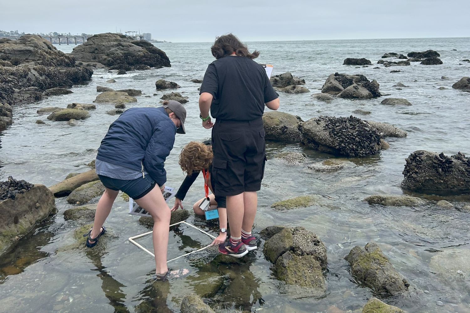 Marine Biology Course UCSD 3
