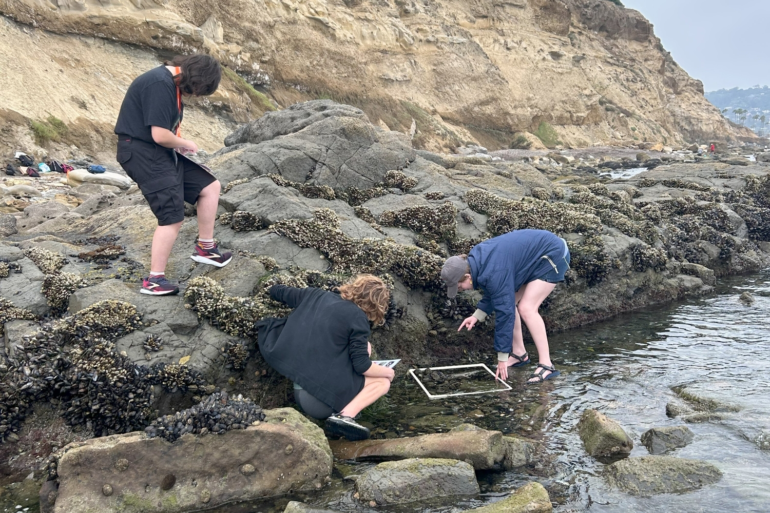 Marine Biology Course UCSD 4