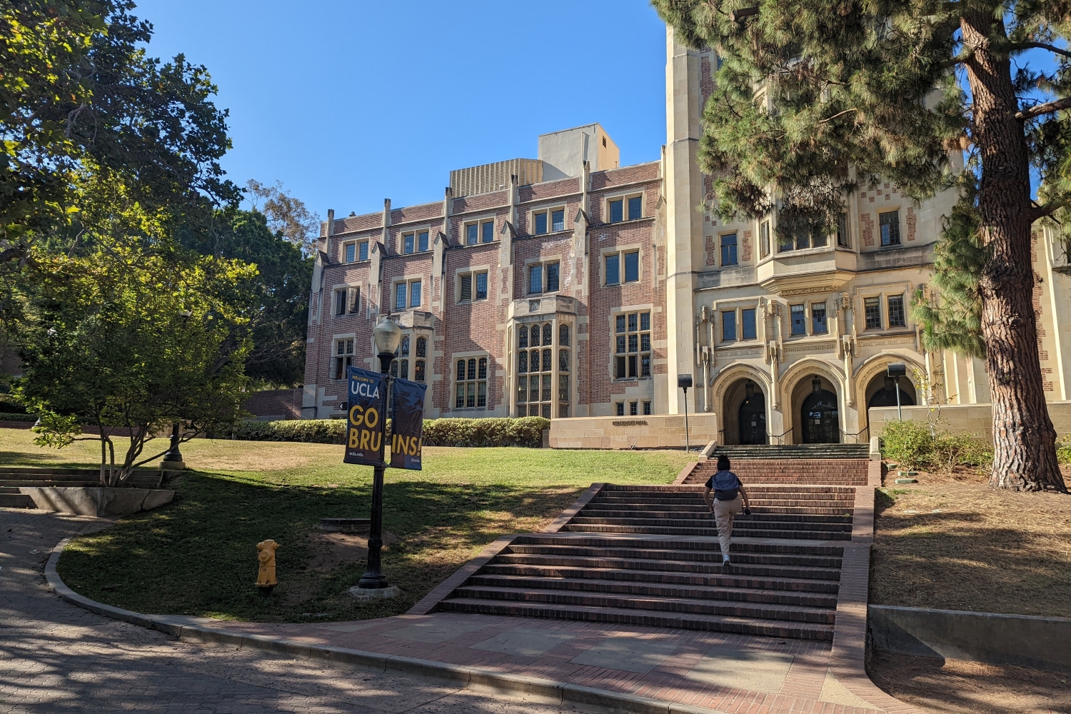 UCLA Campus 1500