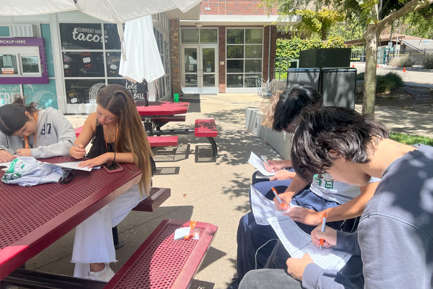 Advanced Spanish Language 1