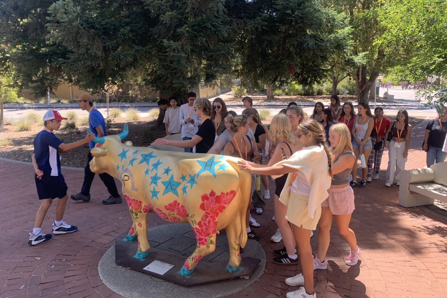 Advanced Spanish Language 3