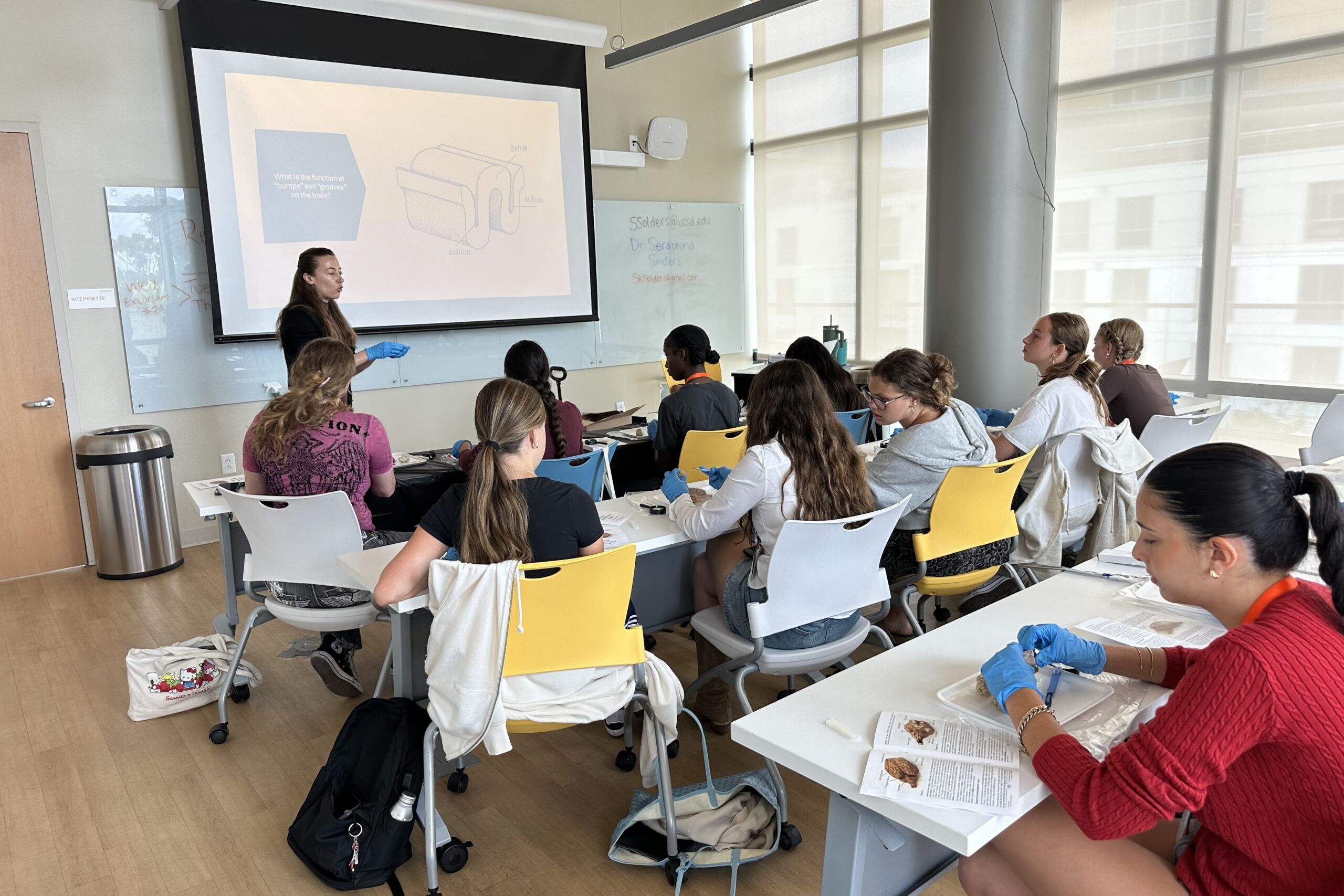 Psychology and Neuroscience UC San Diego Course 1 (1)