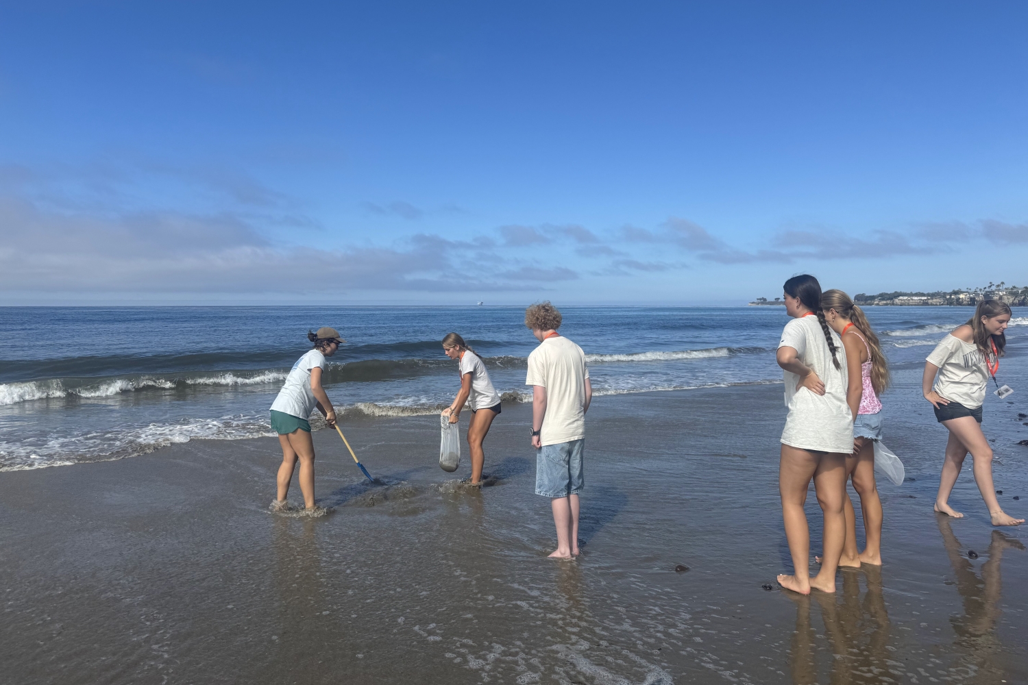 Santa Barbara Marine Biology Ecology Page 4