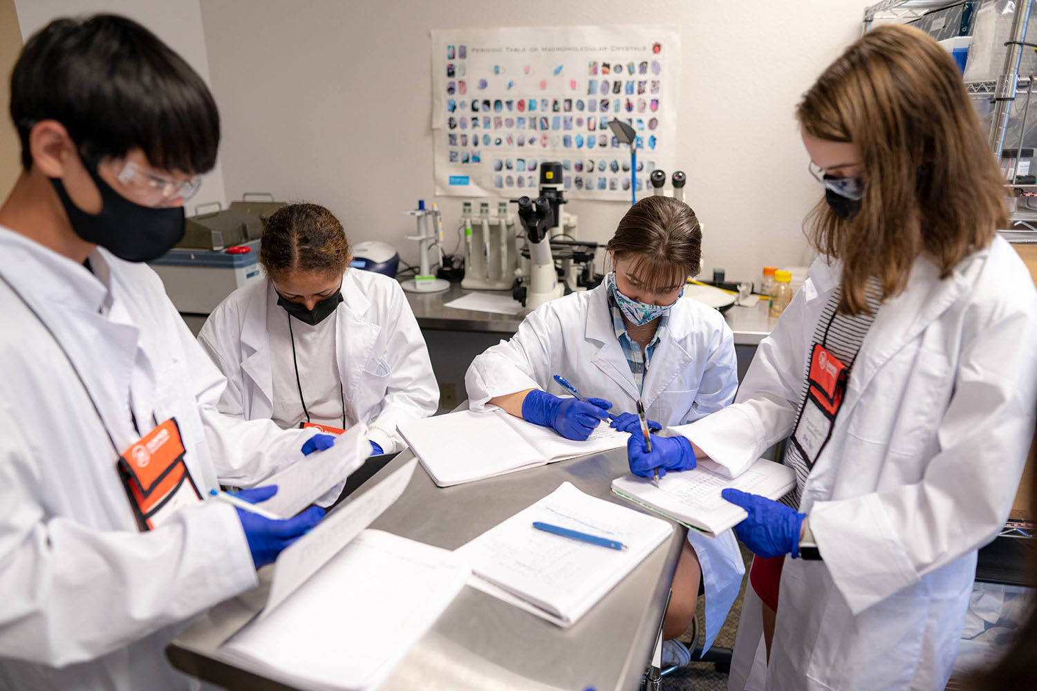 biotechnology.class4