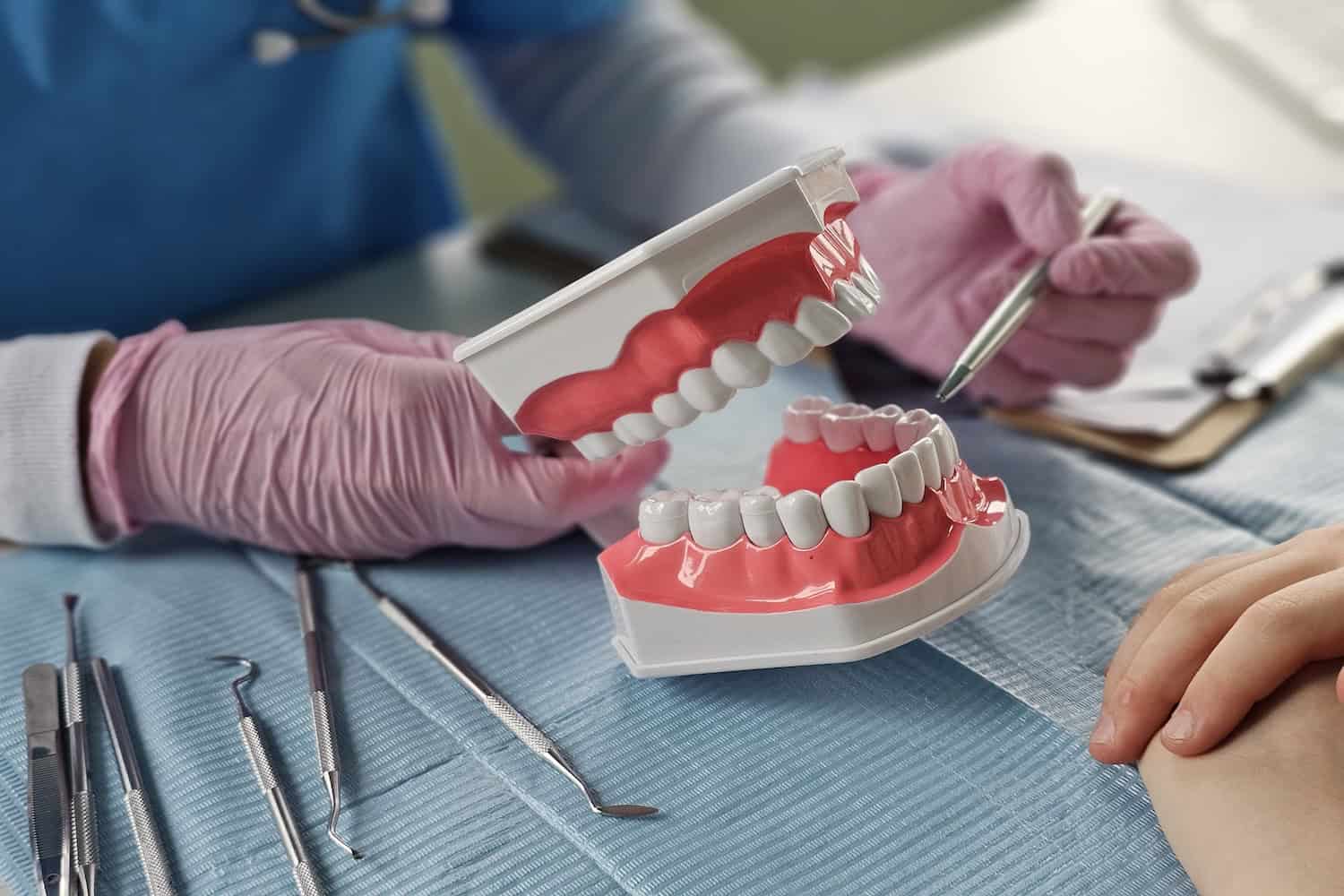 Demonstration of dental hygiene techniques using model teeth during a dental check-up