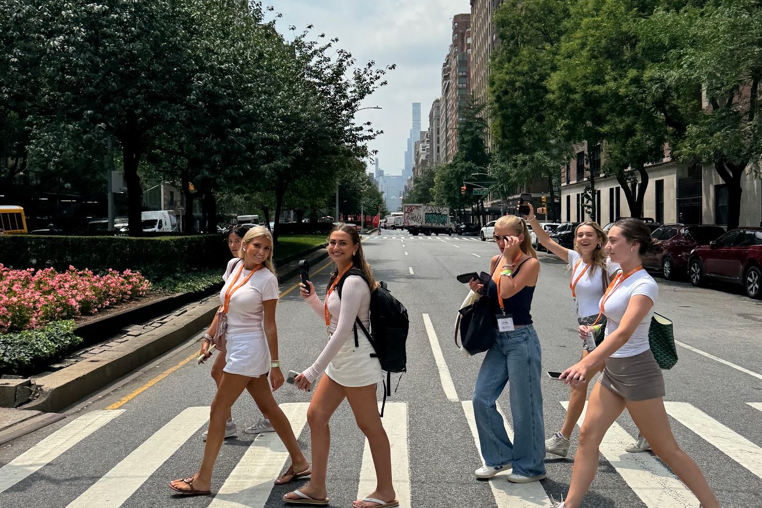 nysid-lan-new-pic_0012_Layer 13