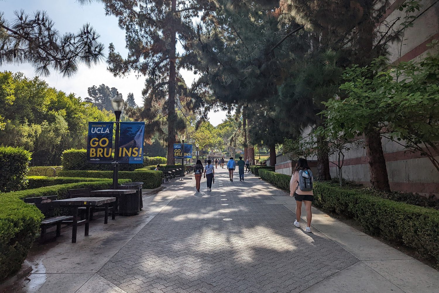 1200-ucla-lan-new-image_0014_Layer 6