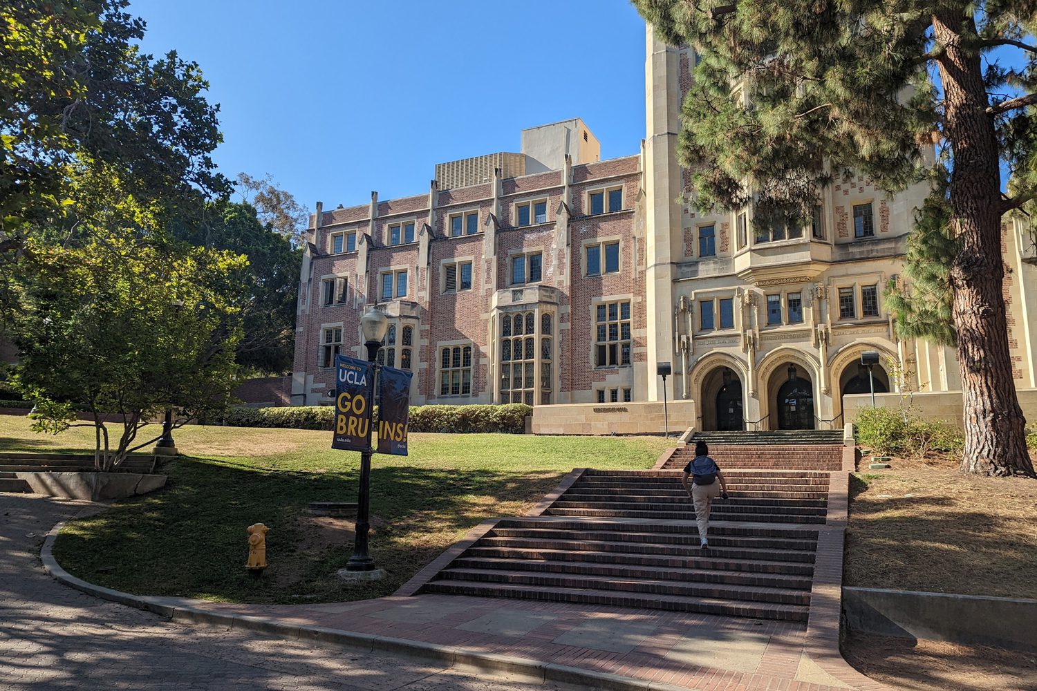 1200-ucla-lan-new-image_0018_Layer 2