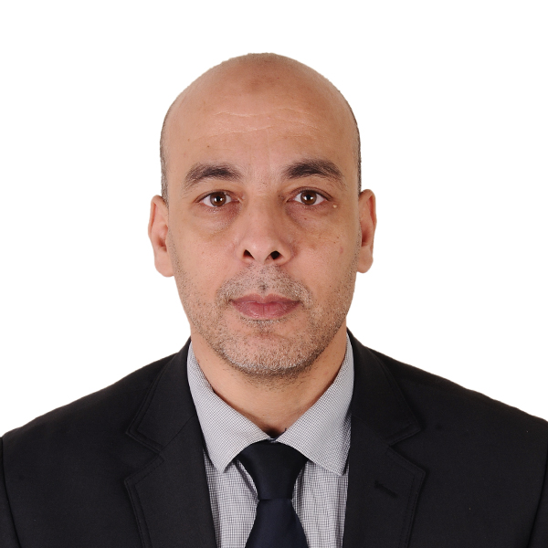Mechanical Engineering Professor