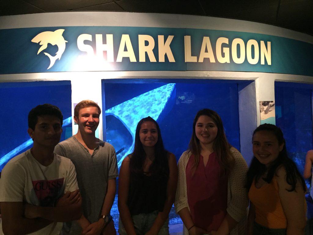 SSB - Mystic Excursion - Shark Lagoon