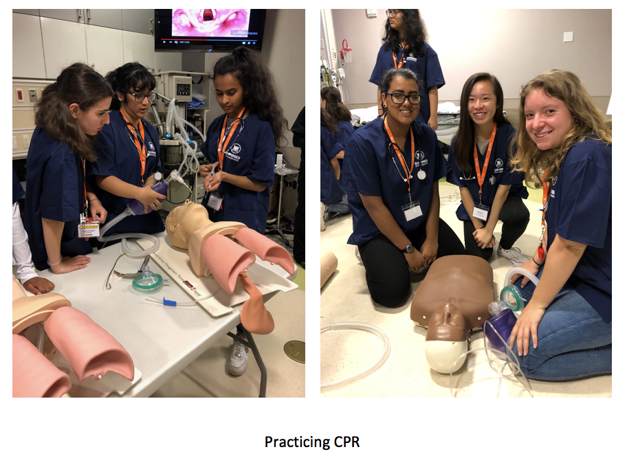 Medicine - practicing CPR