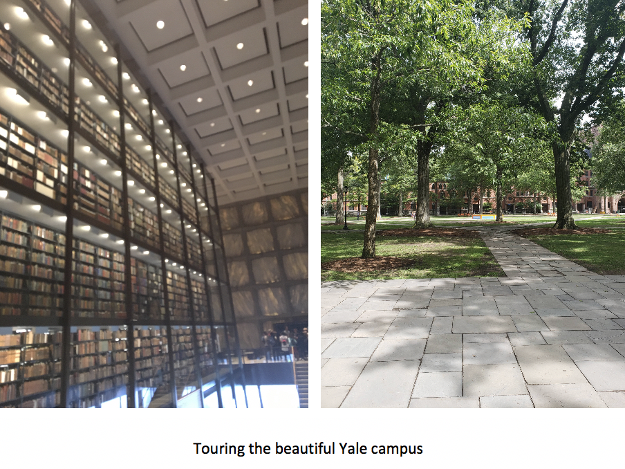 Yale, Summer Springboard, campus tour