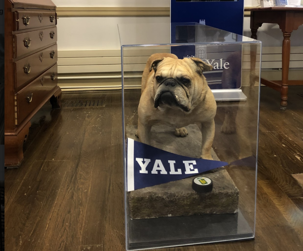 Yale Campus Tour 4
