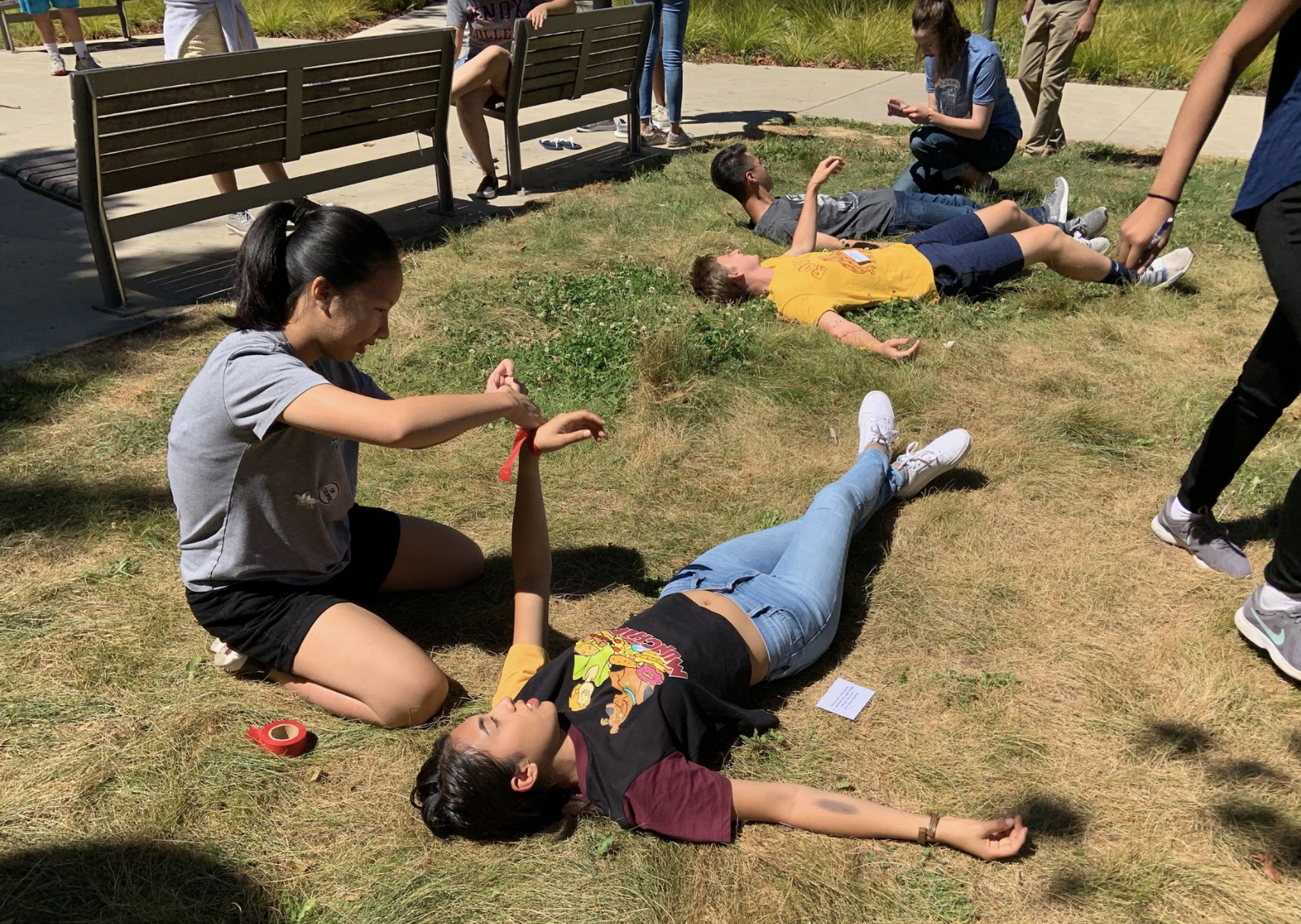 Mass Casualty Simulation 2