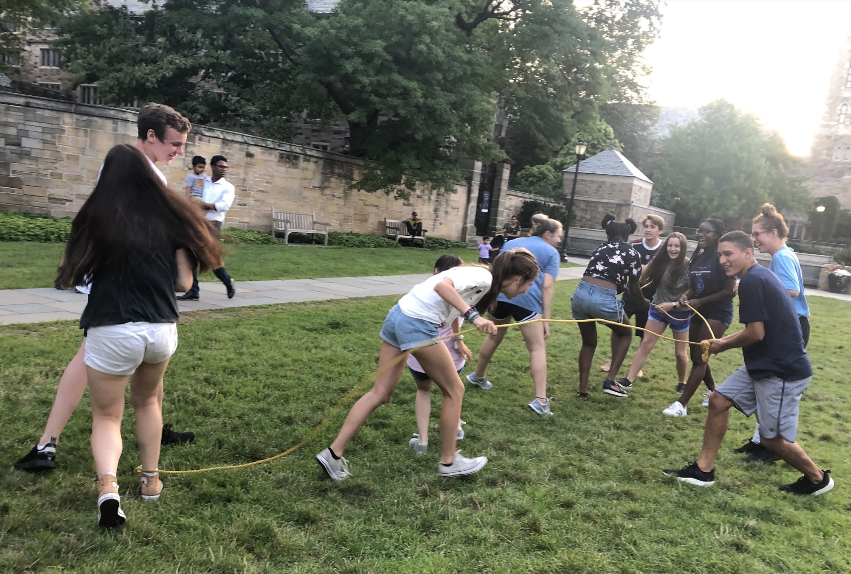 Springboard Olympics 8